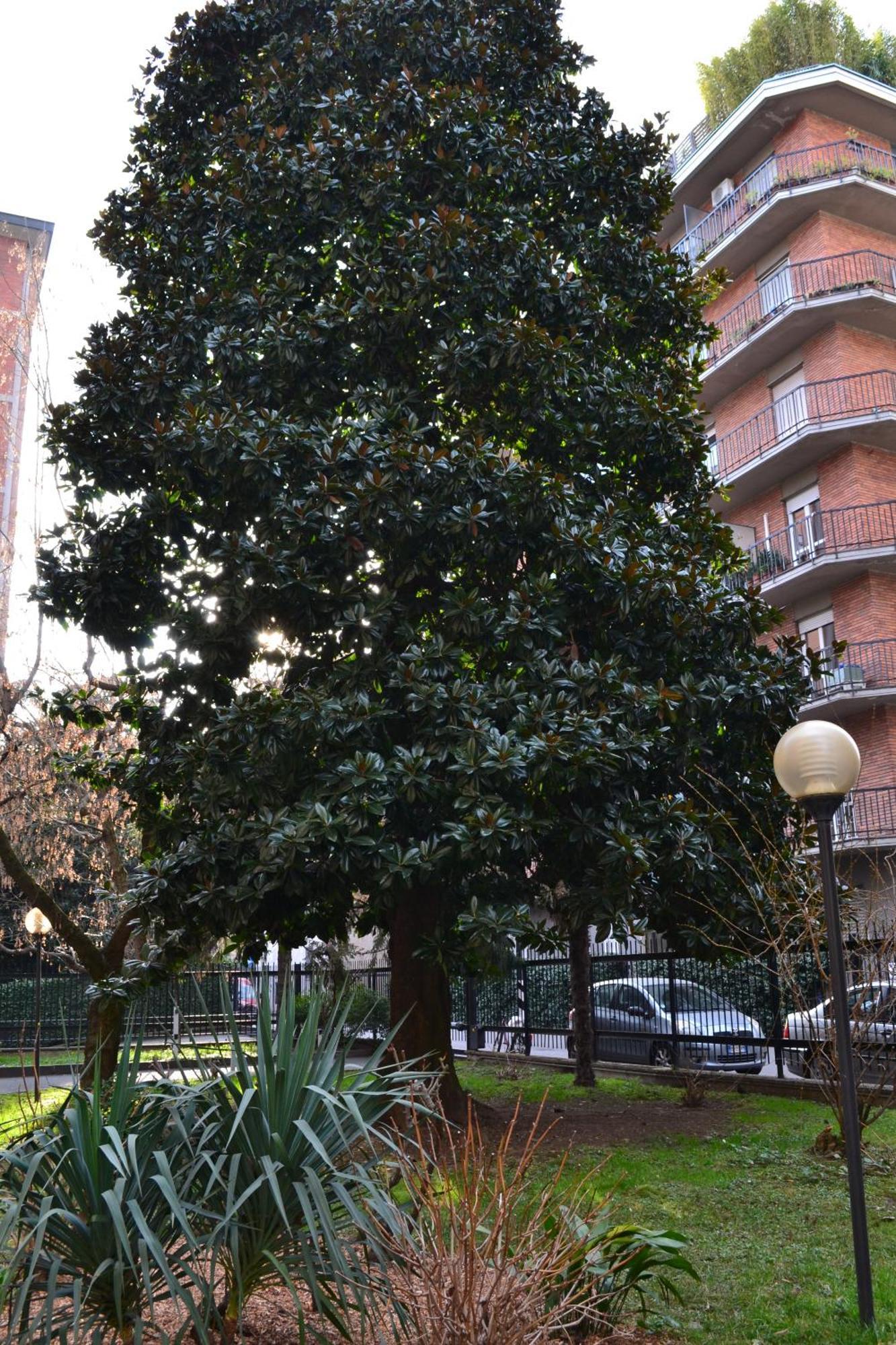 Mocenigo4 Daire Milano Dış mekan fotoğraf